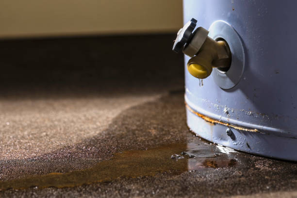 Best Flood restoration services  in Garrett, TX