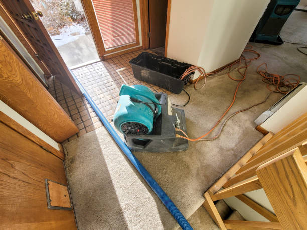 Best Water damage restoration specialists  in Garrett, TX