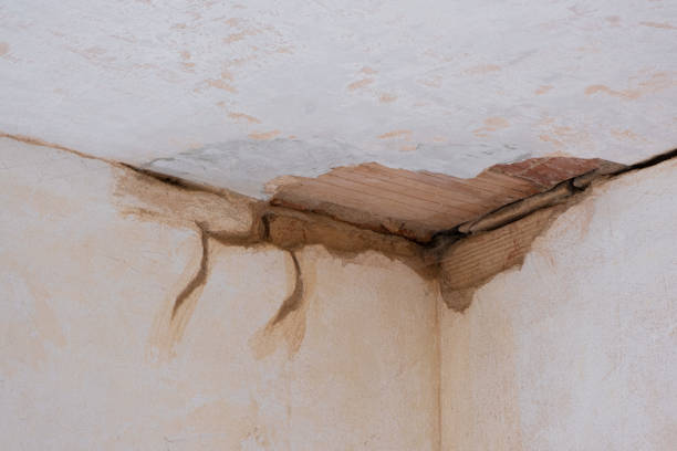 Best Water damage repair service  in Garrett, TX