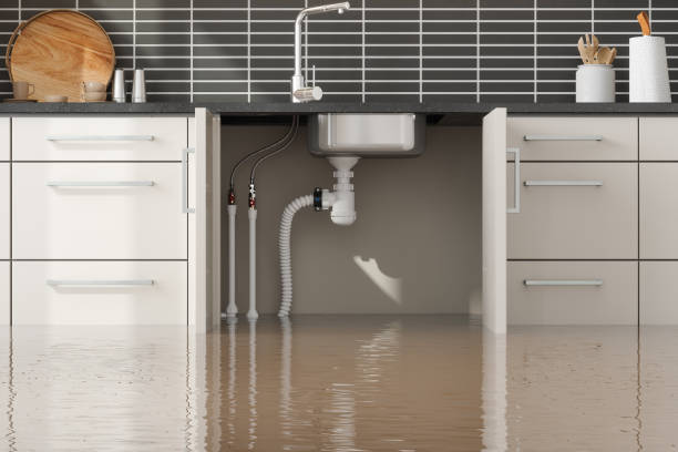 Best Water damage restoration near me  in Garrett, TX
