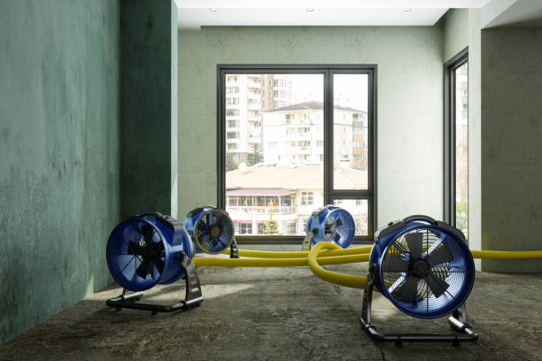 Best Emergency water damage restoration  in Garrett, TX