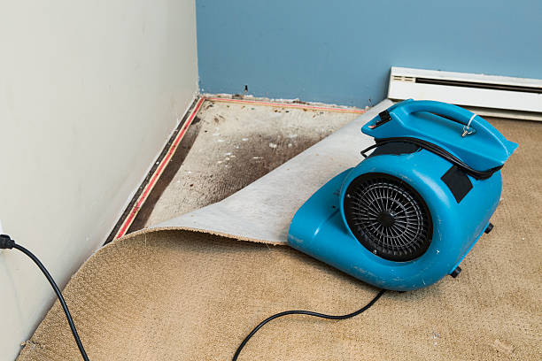 Best Fire Damage Restoration  in Garrett, TX